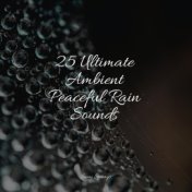 25 Ultimate Ambient Peaceful Rain Sounds