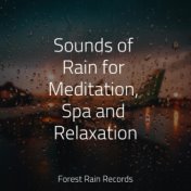 Sounds of Rain for Meditation, Spa and Relaxation