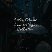 Calm Music Winter Rain Collection