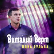 Виталий Верт