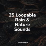 25 Perfect Rain Sounds