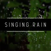 Singing Rain: Most Relaxing Rain Sounds for Sleep, Relaxation, Spa & Study