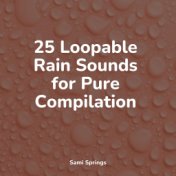 25 Loopable Rain Sounds for Pure Compilation