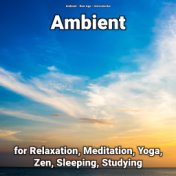 Ambient for Relaxation, Meditation, Yoga, Zen, Sleeping, Studying