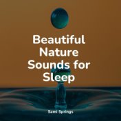 Beautiful Nature Sounds for Sleep