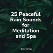 25 Peaceful Rain Sounds for Meditation and Spa