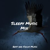 Sleepy Music Mix