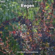 #01 Regen ohne Musik zur Entspannung