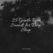 25 Gentle Rain Sounds for Deep Sleep