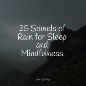 25 Sounds of Rain for Sleep and Mindfulness