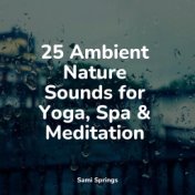 25 Rain Sounds for Meditation