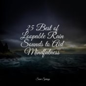 25 Best of Loopable Rain Sounds to Aid Mindfulness
