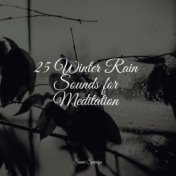 25 Winter Rain Sounds for Meditation