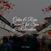 Calm & Rain Sounds for Spa & Relaxation