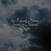 25 Relaxing Nature Sounds for Natural Nights