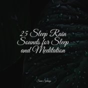 25 Sleep Rain Sounds for Sleep and Meditation