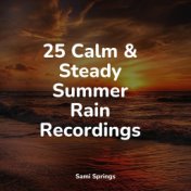 25 Calm & Steady Summer Rain Recordings