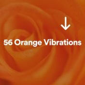 56 Orange Vibrations