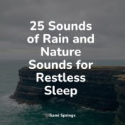 25 Sounds of Rain and Nature Sounds for Restless Sleep