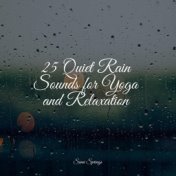 25 Quiet Rain Sounds for Yoga and Relaxation
