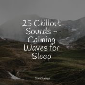 25 Chillout Sounds - Calming Waves for Sleep