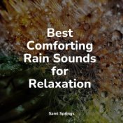 Best Comforting Rain Sounds for Relaxation