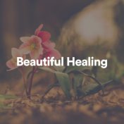 Beautiful Healing