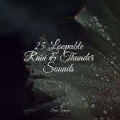 25 Loopable Rain & Thunder Sounds