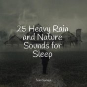 25 Heavy Rain and Nature Sounds for Sleep