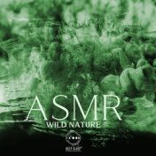ASMR Wild Nature: Fall Asleep Instantly, Relaxing Night Music, Healing and Soothing Nature