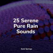 25 Serene Pure Rain Sounds