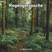 #01 Regengeräusche zur Entspannung