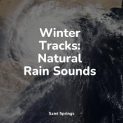 Winter Tracks: Natural Rain Sounds