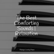 The Best Comforting Sounds | Relaxation