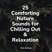 25 Comforting Nature Sounds for Chilling Out & Relaxation