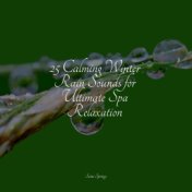 25 Calming Winter Rain Sounds for Ultimate Spa Relaxation