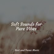Soft Sounds for Pure Vibes