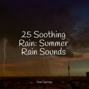 25 Soothing Rain: Summer Rain Sounds