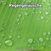 #01 Regengeräusche zur Entspannung ohne Musik