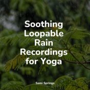 Soothing Loopable Rain Recordings for Yoga