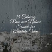 25 Calming Rain and Nature Sounds for Absolute Calm