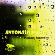 Human Memory