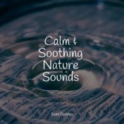 Calm & Soothing Nature Sounds