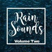 Rain Sounds, Volume Two