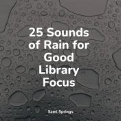 25 Sounds of Rain for Good Library Focus