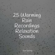 25 Warming Rain Recordings Relaxation Sounds