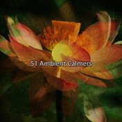 51 Ambient Calmers