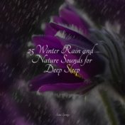 25 Winter Rain and Nature Sounds for Deep Sleep