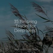 35 Relaxing Tracks for Deep Sleep