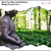 Quiet Your Mind with Meditative Mangle Sounds, Vol. 3